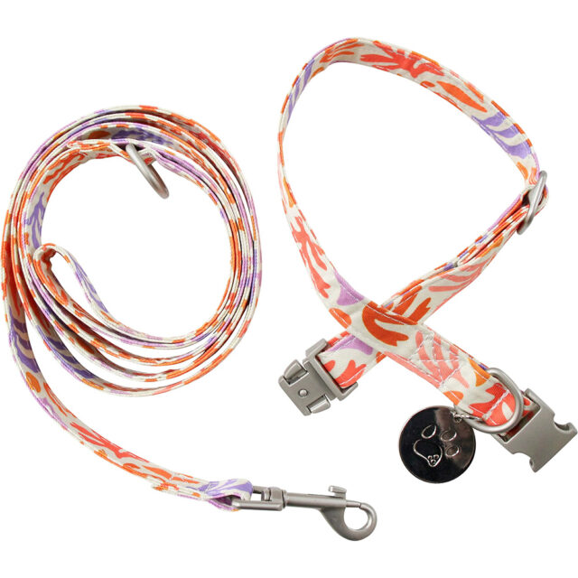 Collar & Lead Set Med Summer Orange & Purple