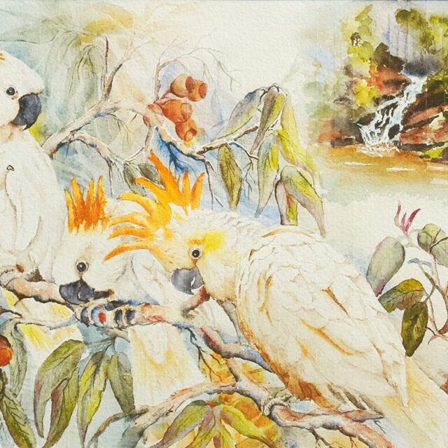 Cockatoos Water Colour Print Art