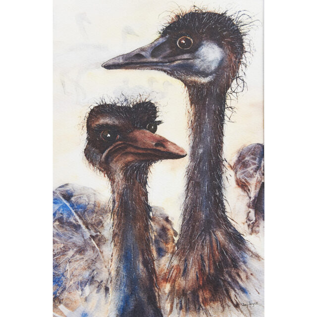 Emus Water Colour Print Art For Nature Lover