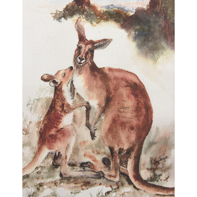 Kangaroos Colour Print Art For Nature Lover