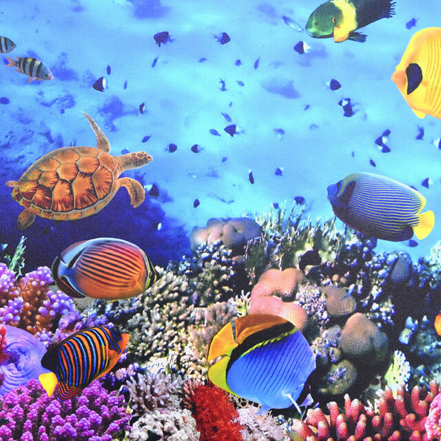 Great Barrier Reef Nature Canvas Photography