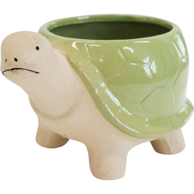 Green Turtle Plant Pot Small