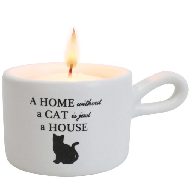 Small Candle With Cat Message